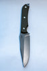 Agent Fixed Blade