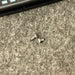 Replacement clip screw set - Gen1 &Gen2